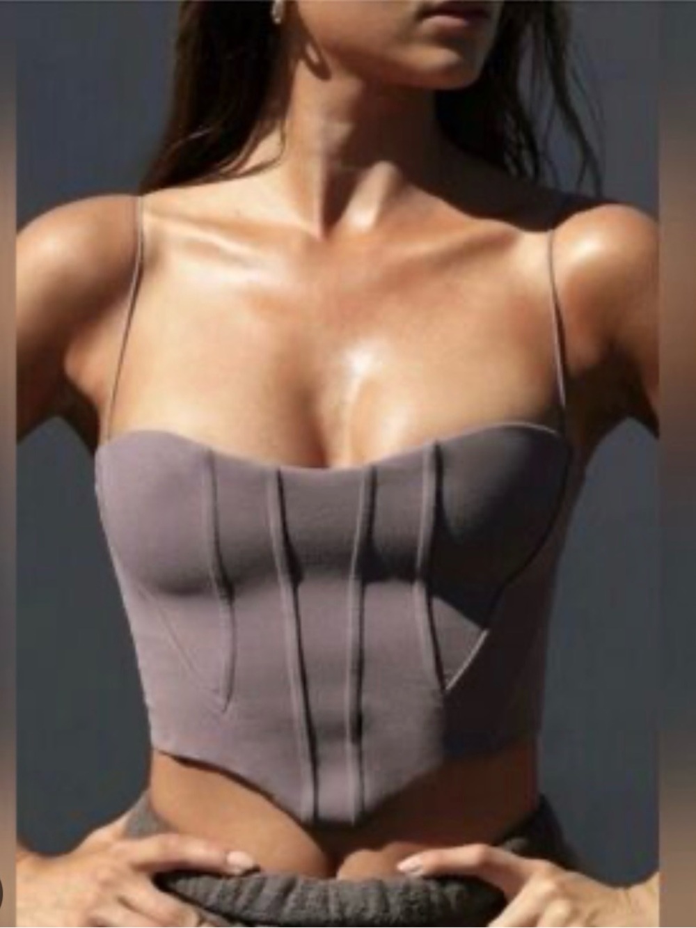 Joah Brown Contour Corset Top; Sueded Mauve. M/L size